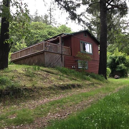 Avenue Of The Giants Caraway Cottage Miranda Екстериор снимка