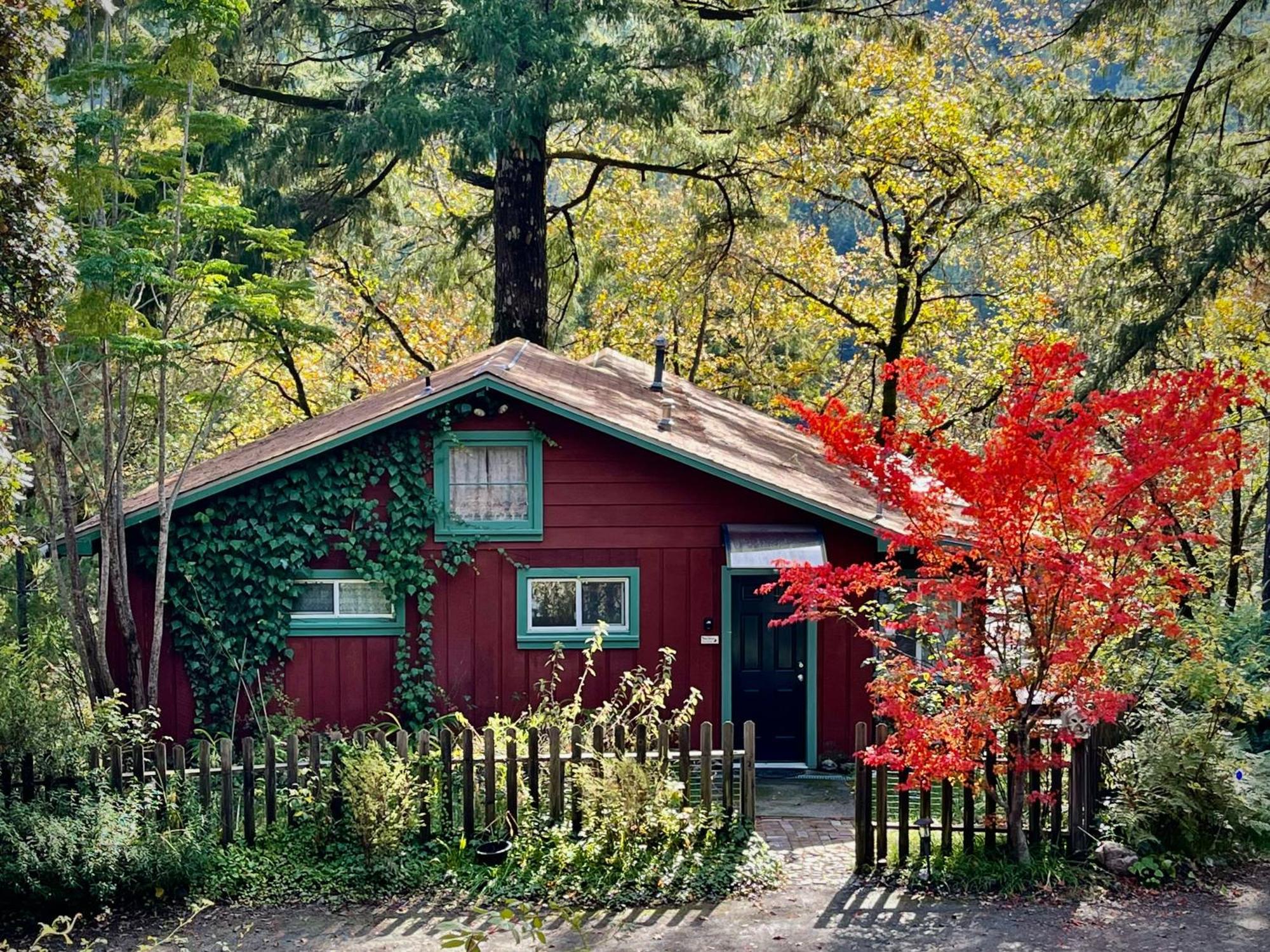 Avenue Of The Giants Caraway Cottage Miranda Екстериор снимка