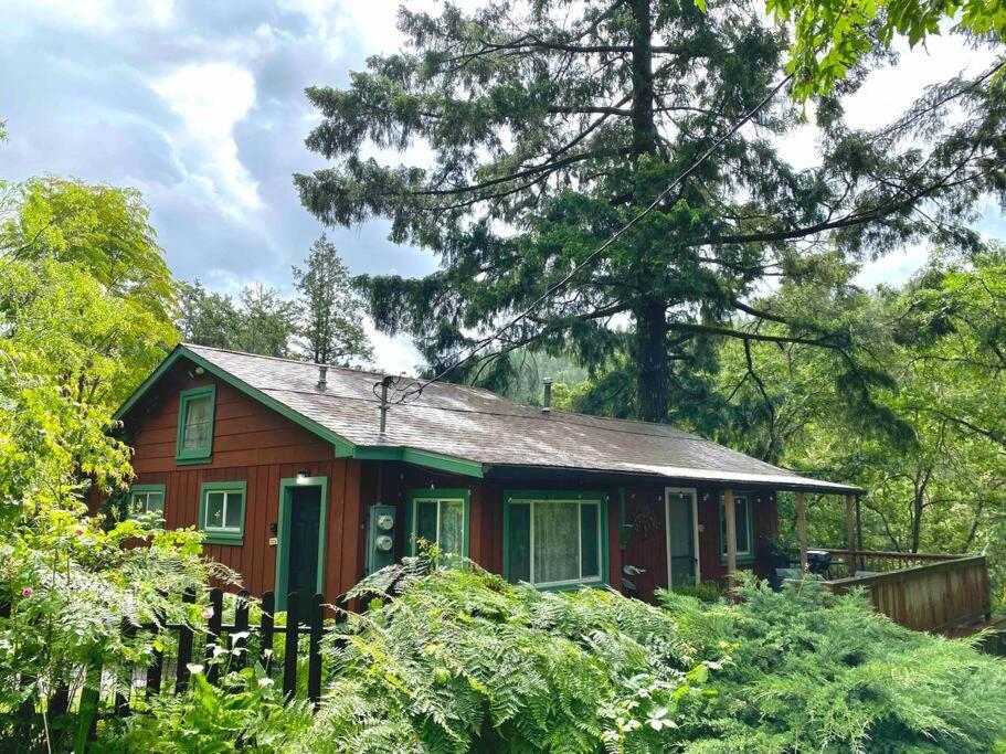 Avenue Of The Giants Caraway Cottage Miranda Екстериор снимка