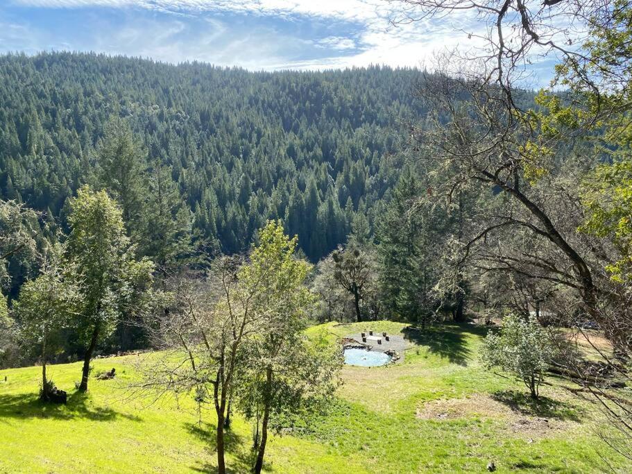 Avenue Of The Giants Caraway Cottage Miranda Екстериор снимка