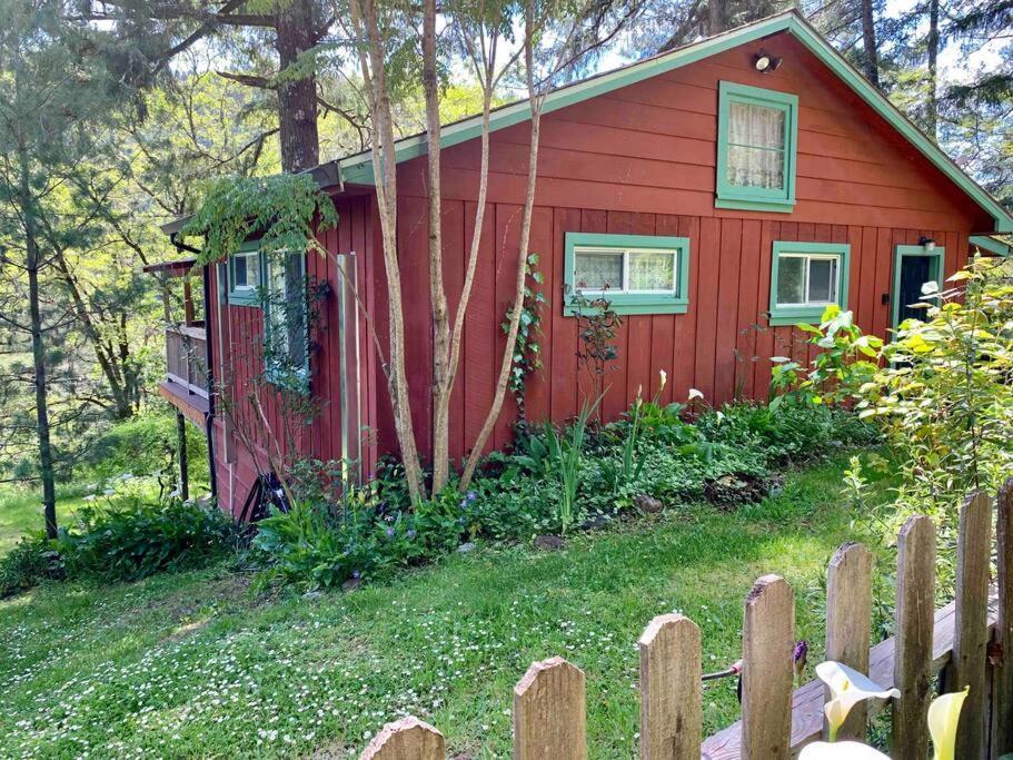 Avenue Of The Giants Caraway Cottage Miranda Екстериор снимка