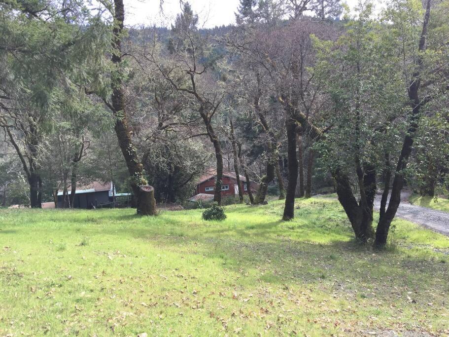 Avenue Of The Giants Caraway Cottage Miranda Екстериор снимка